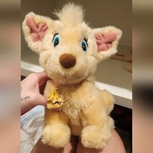 Angel lady and the tramp